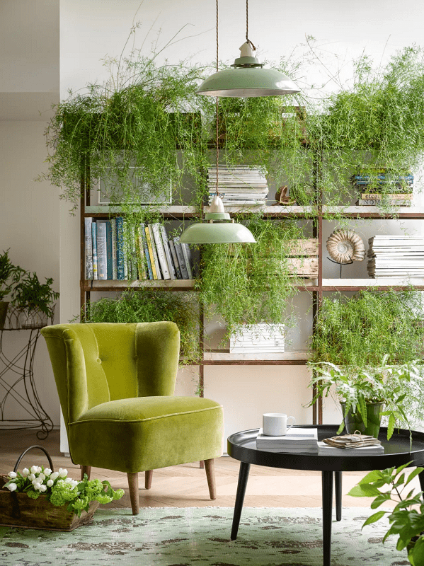 How-to-Decorate-Blank-Walls-for-Renters-how-to-decorate-with-greenery