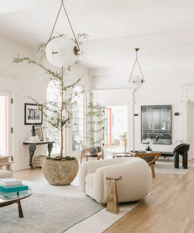 a-Living-Room-with-natural-elements-large-indoor-trees