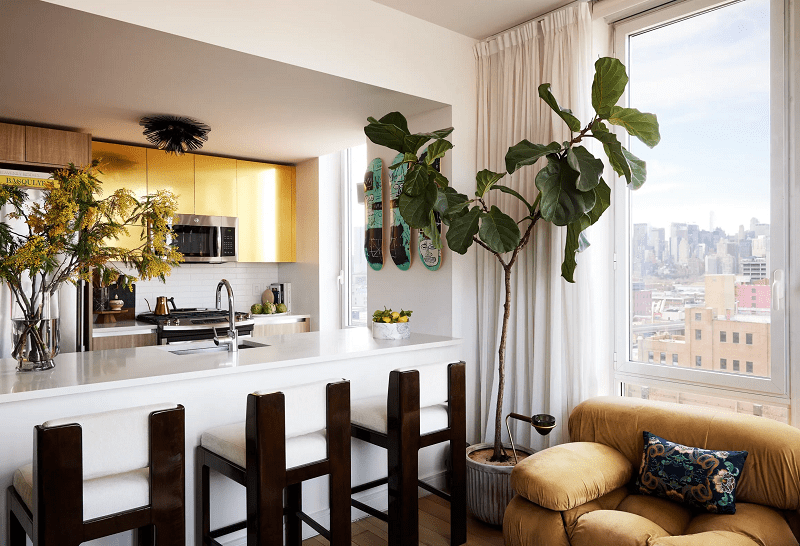 15-Easy-Ways-to-Update-Your-Interior-in-Just-One-Day-modern-living-room-with-indoor-plants