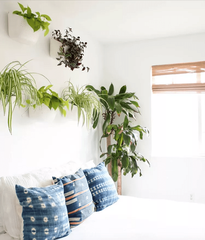 how-to-add-natural-elements-in-bedroom-such-as-plants